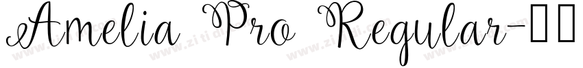 Amelia Pro Regular字体转换